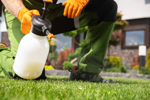 Best Wasp Removal Services  in Santa Venetia, CA