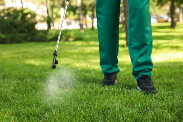 Best Commercial Pest Control Services  in Santa Venetia, CA