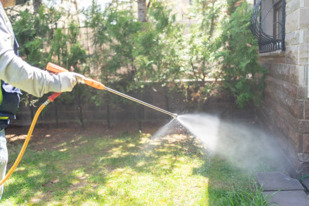 Best Insect Control  in Santa Venetia, CA
