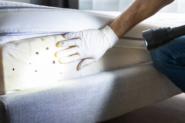Best Local Pest Control Services  in Santa Venetia, CA