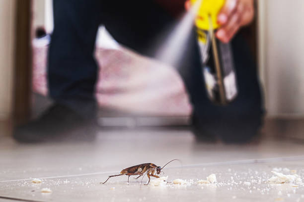 Best Best Pest Control Companies  in Santa Venetia, CA